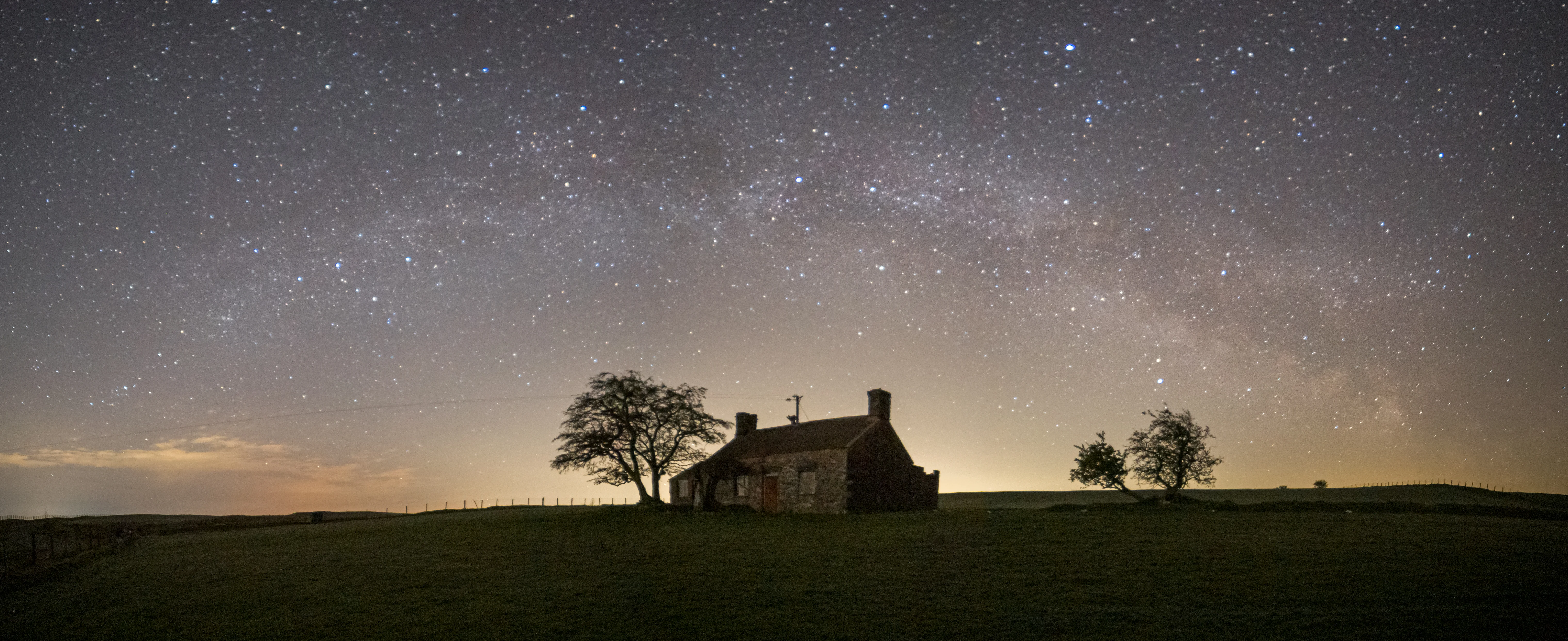 Under the stars.webp