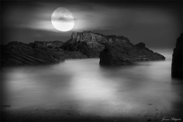 Untitled-1-1.webp