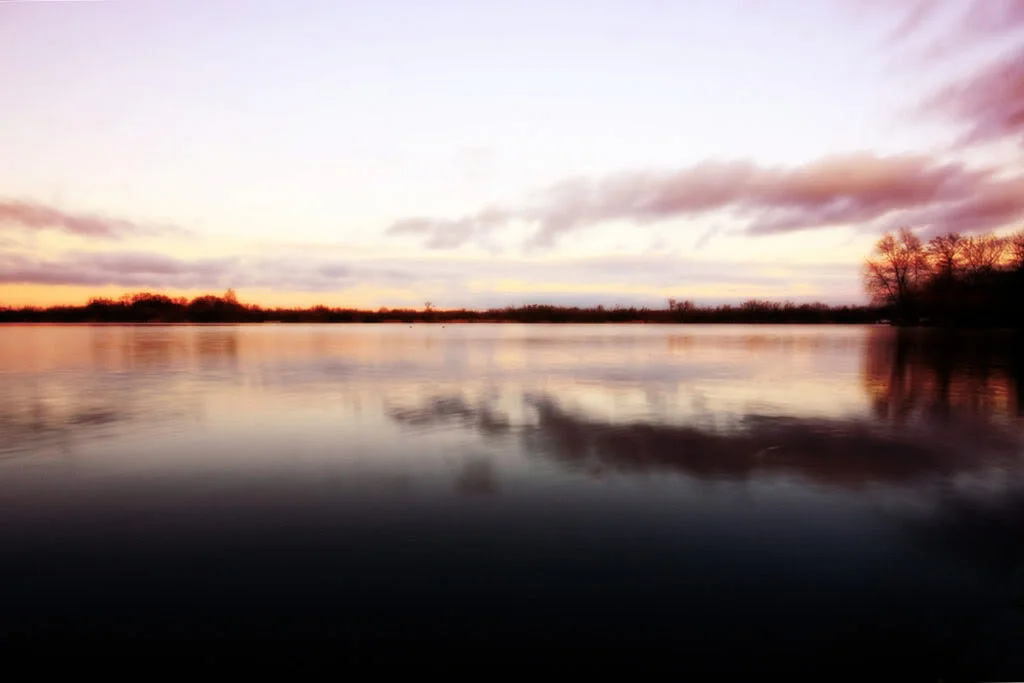Untitled-1-8.webp