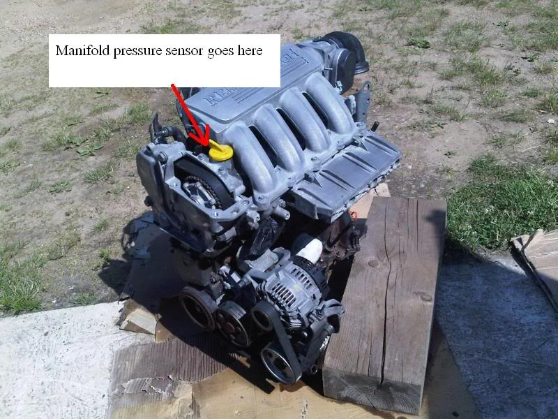 untitled.webp