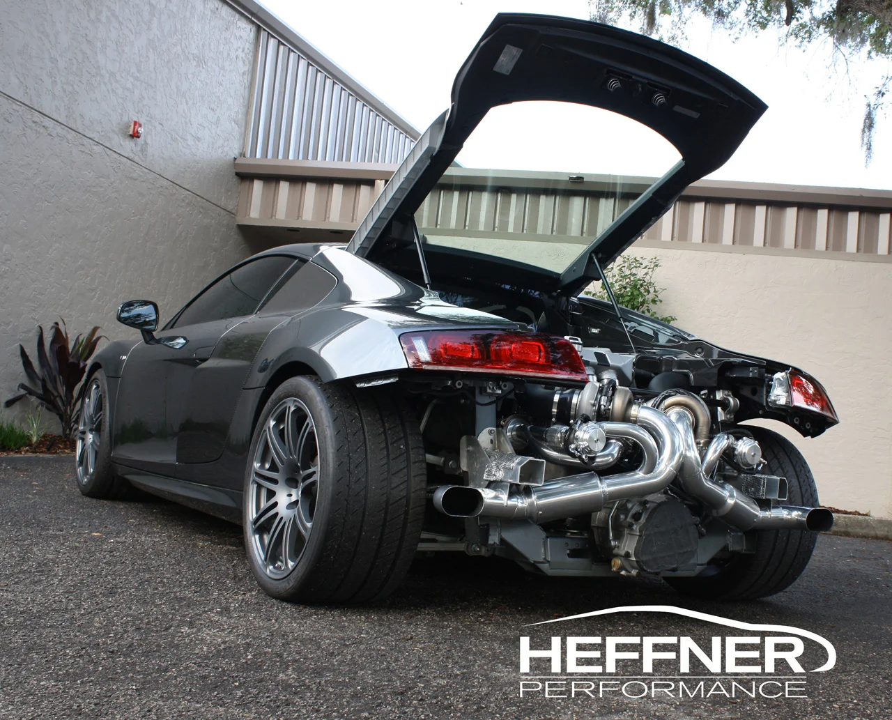 v10tt6.webp