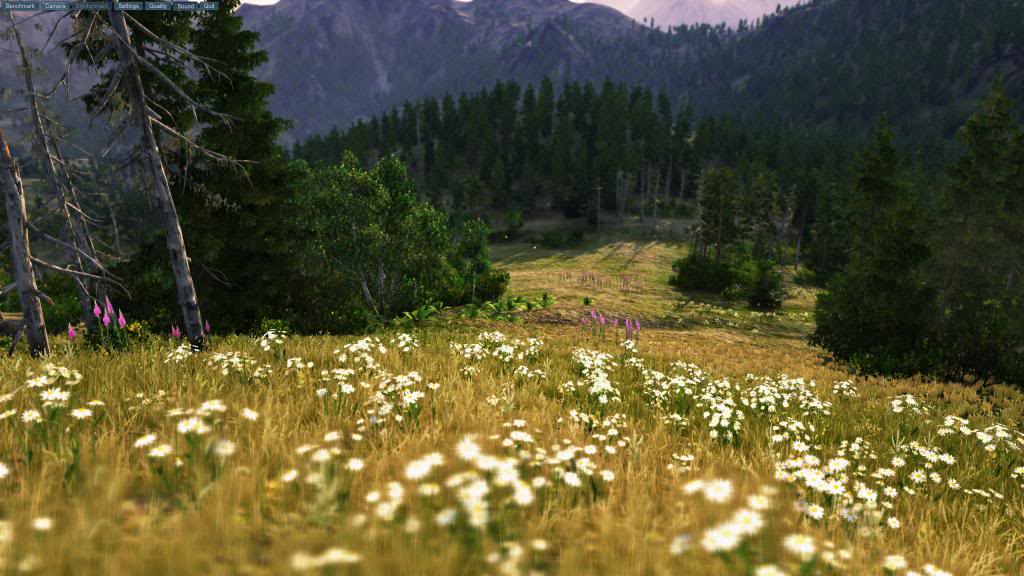 valley-2013-07-03-17-22-28-15_zps781f99ea.jpg