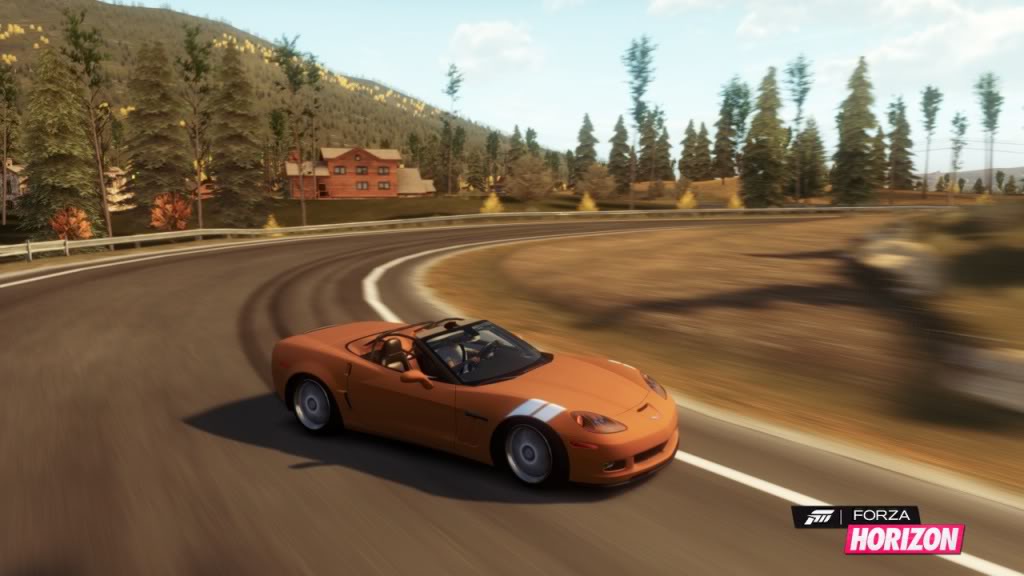 vette.jpg