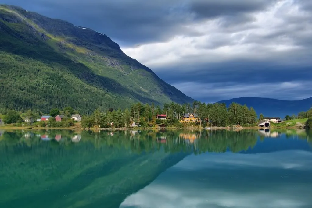 view.webp