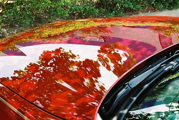 VM_CMW_reflections_Acura.webp