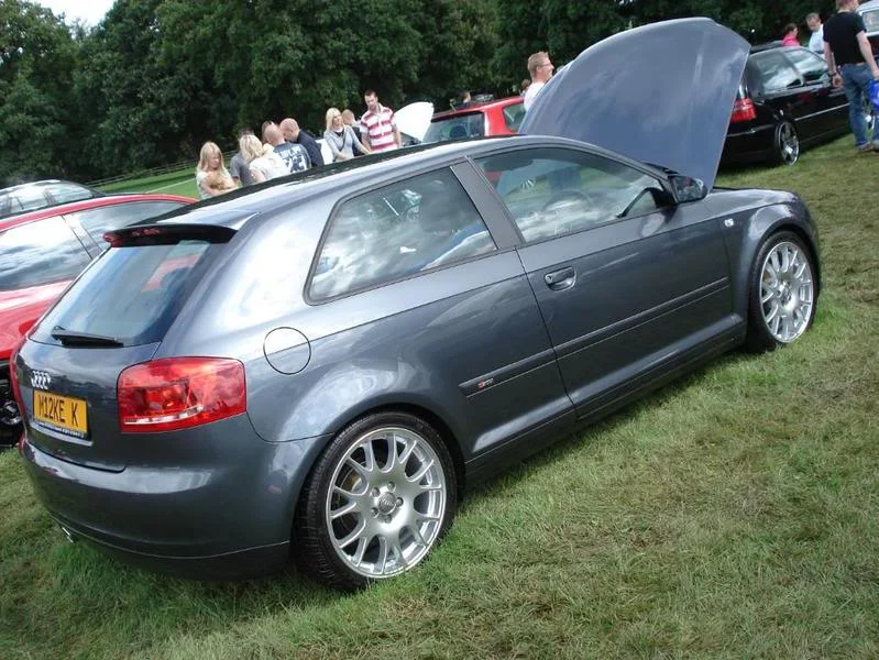vwfestival08040-1.webp