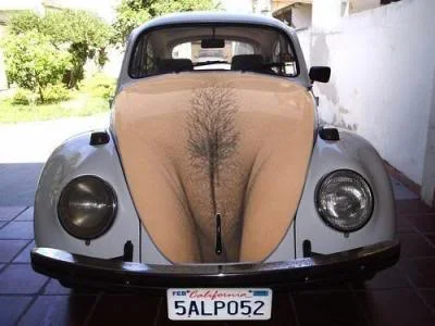 vwgina1.webp