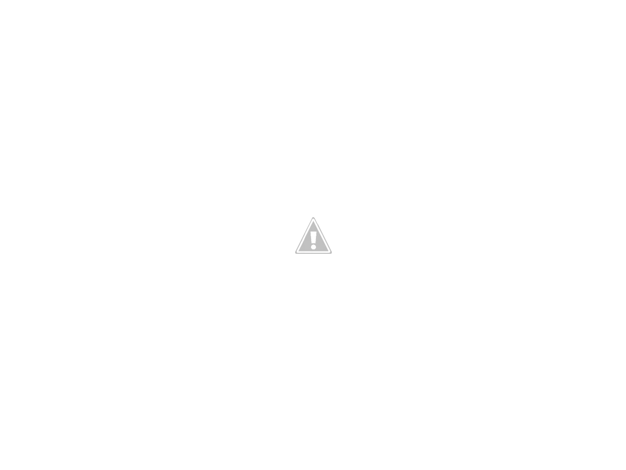 W62xYVFvB05U_zdzq1q2oWXC2ZHiL4KNVp_iddIGCRo-06AD6mgBTwK5XzKyhAZ1HEdHtnAsNI0u2pYu1U=w1266-h950...webp