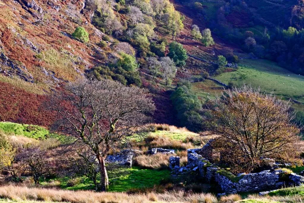 Wales4.webp