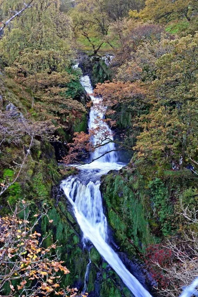 Wales5.webp