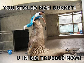 Walrus_BucketThiefInTroubleM.jpg