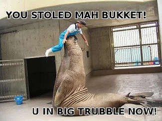 Walrus_BucketThiefInTroubleM.webp