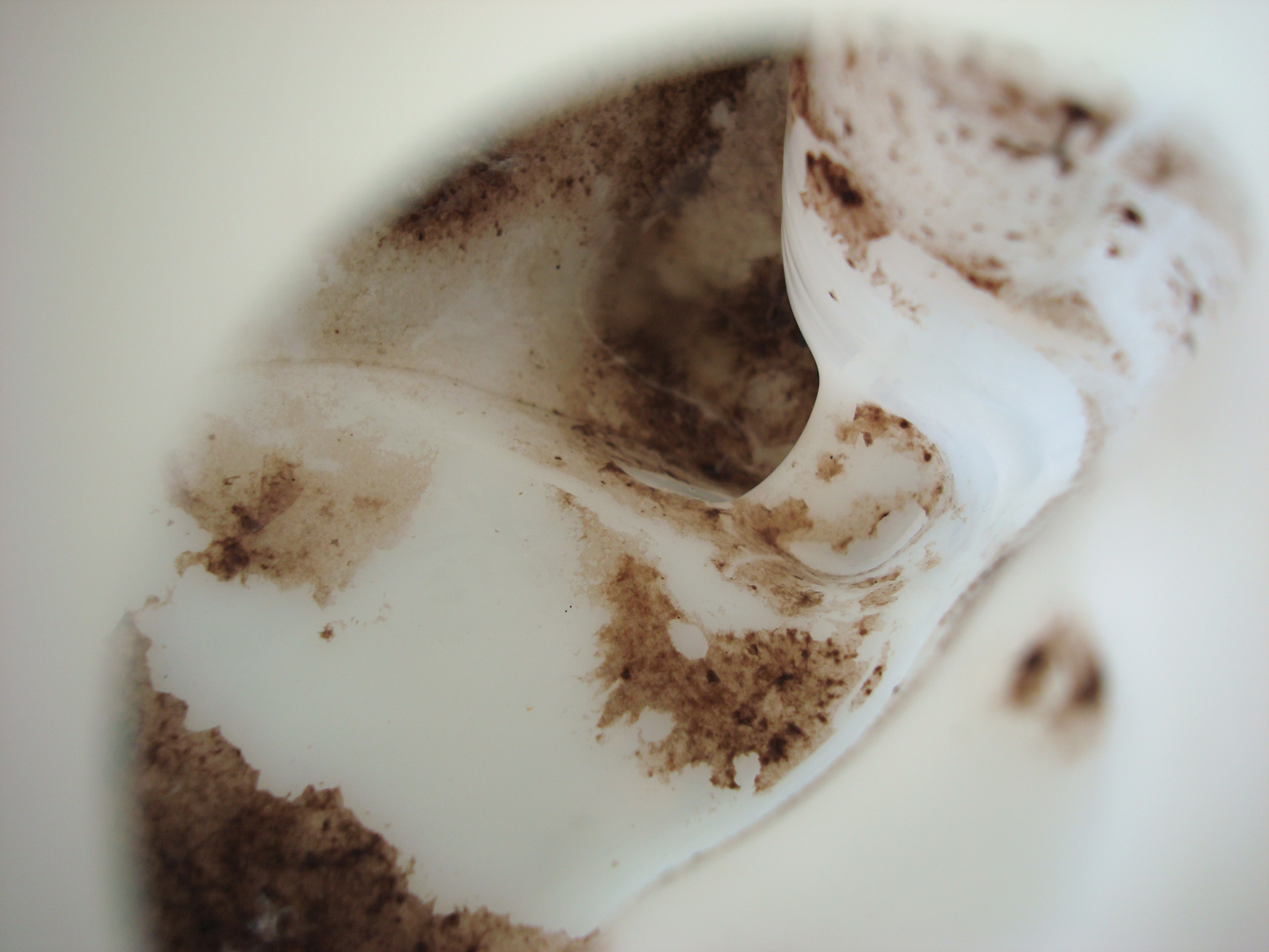 Washer bottle interior before.jpg