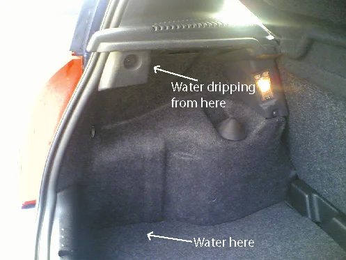 water.webp