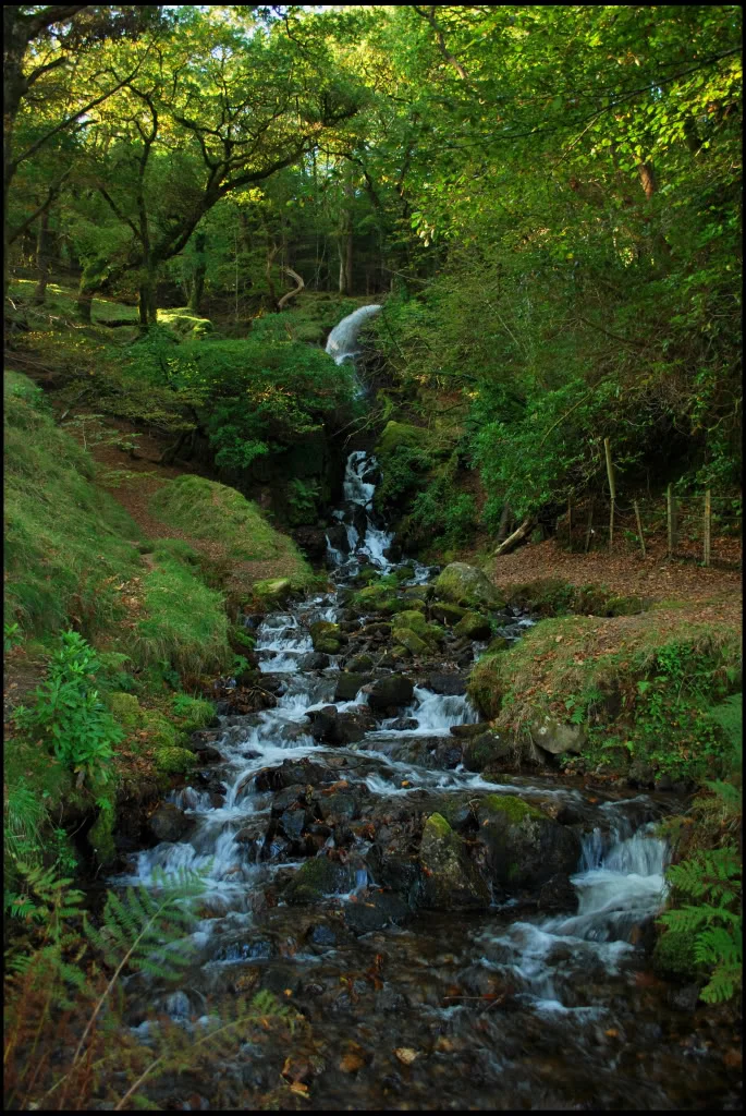 Waterfall.webp