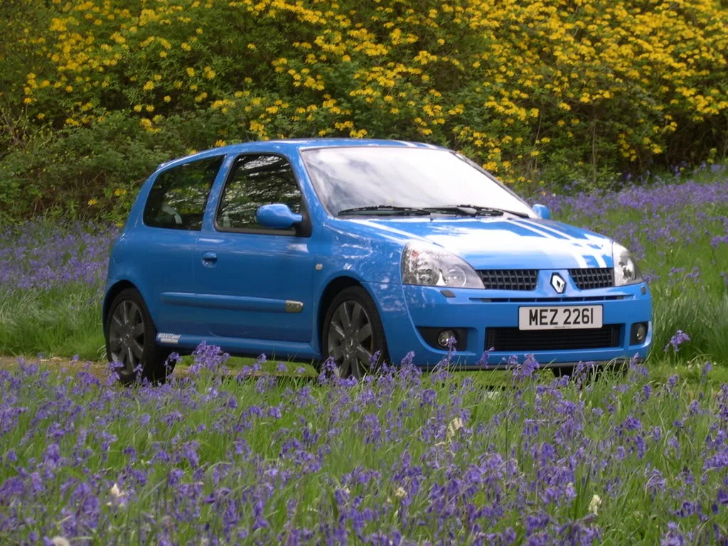 WayneClio042.webp