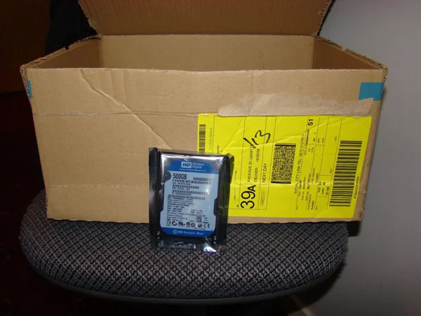 wdscorpioblue.webp