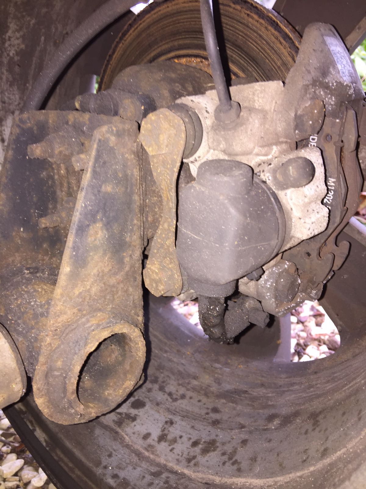 WhatsApp Image 2017-02-19 at 15.24.11.jpeg