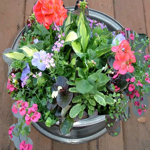 wheelplanter.webp