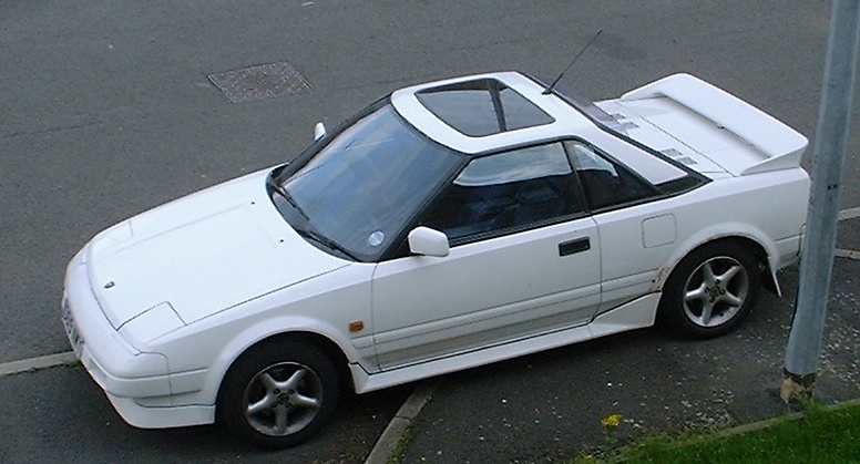 white7.jpg
