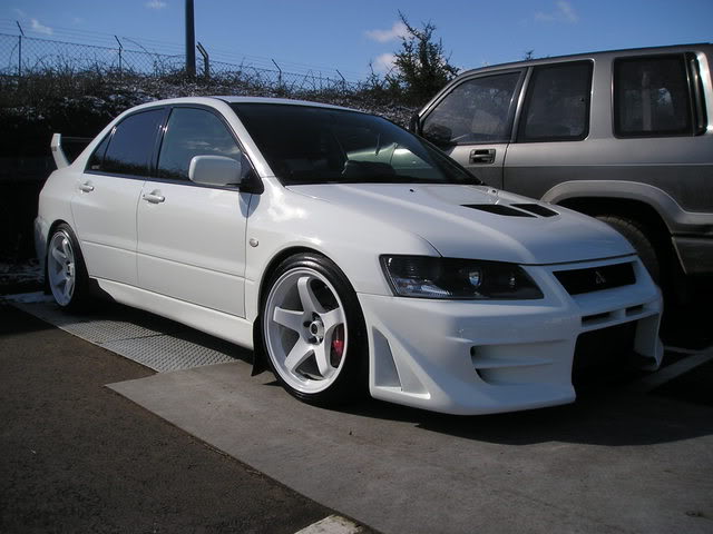 whiteevo8.jpg