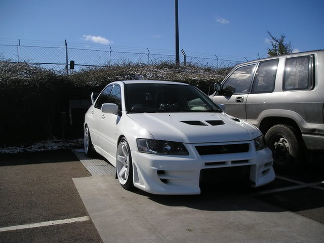 whiteevo82.jpg