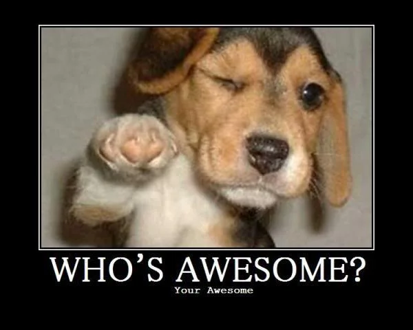 whos-awesome.webp