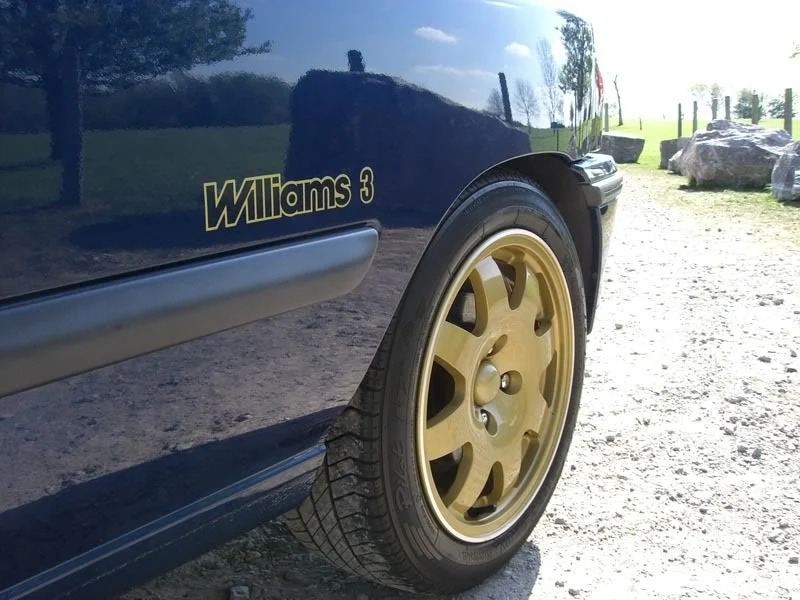 williams3_4.webp