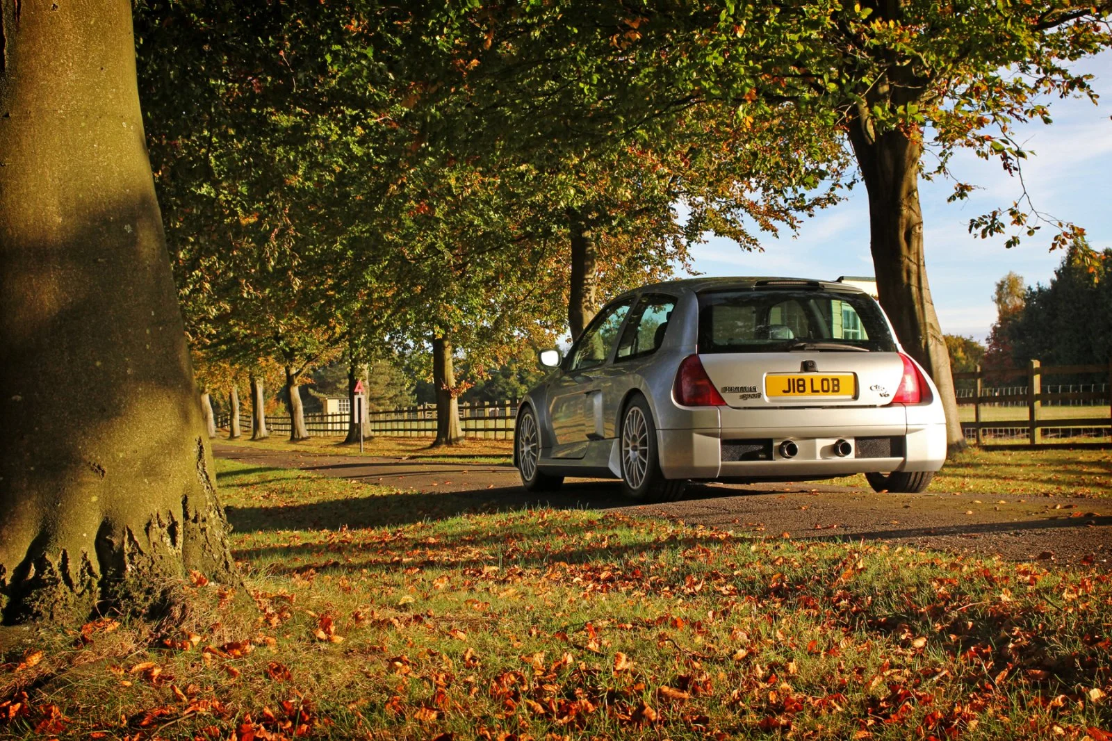 Woodland Vee Resize.webp