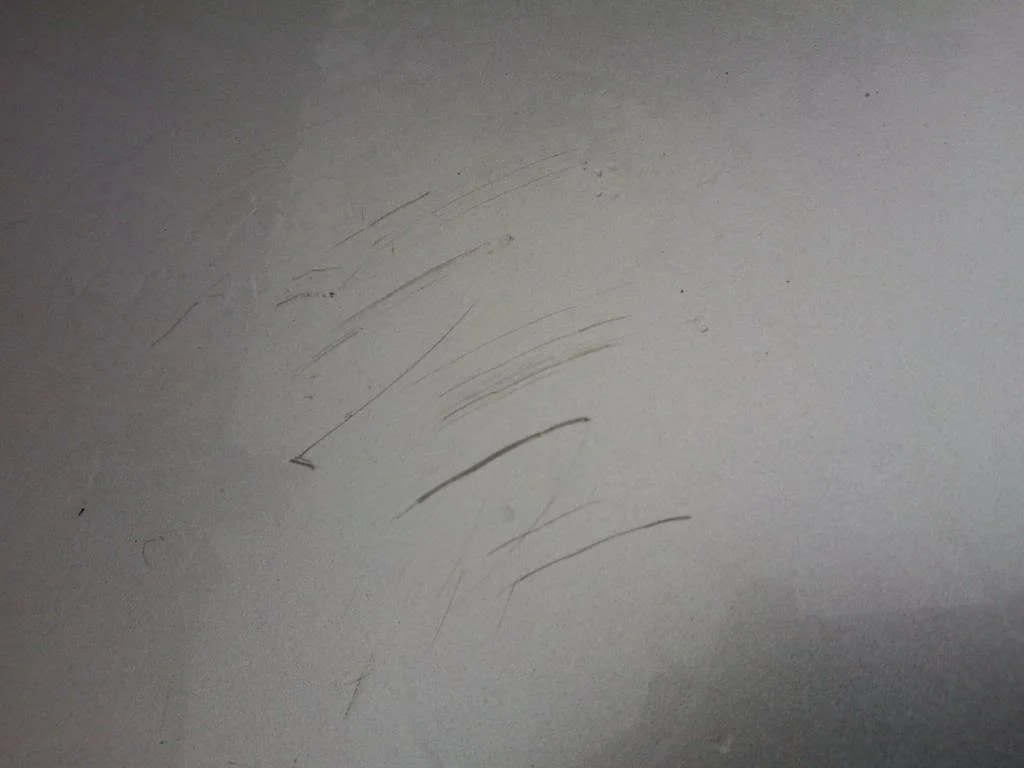WP_000013.webp