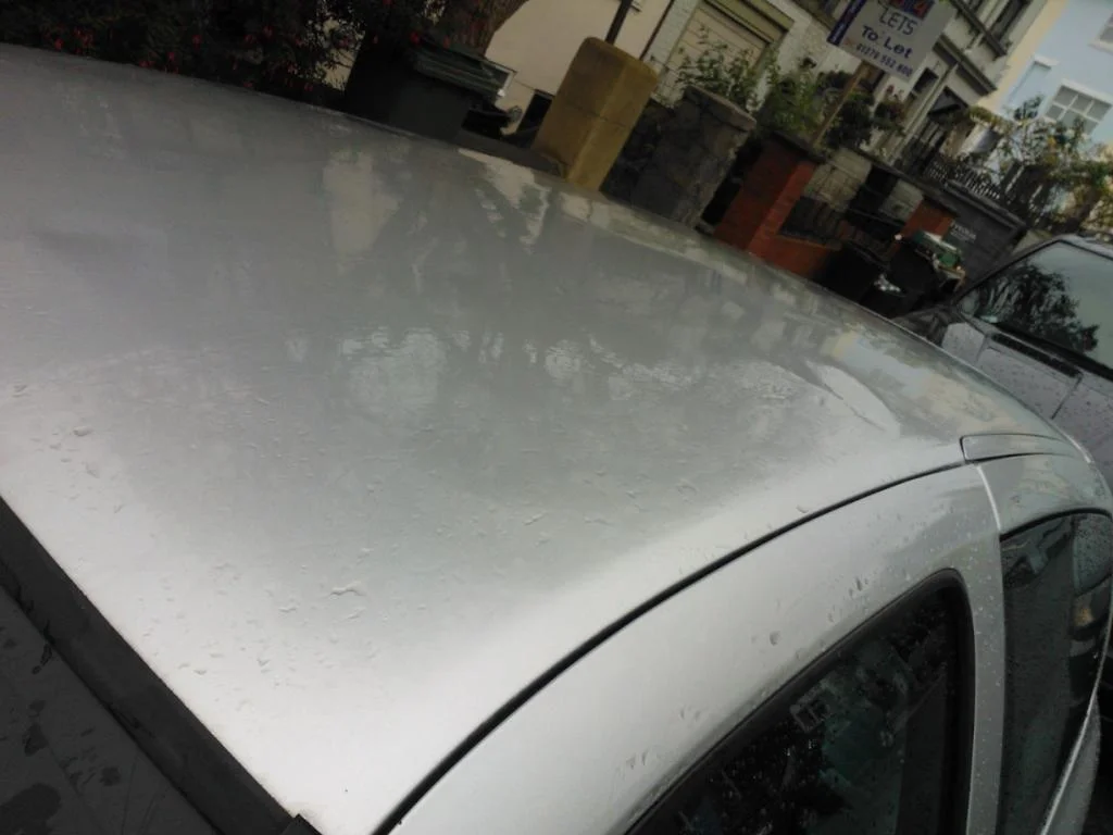 WP_000015.webp