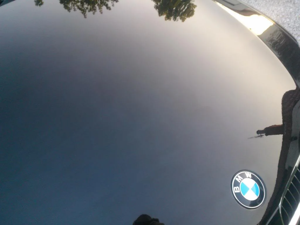 WP_000080_zps23fd64c3.webp