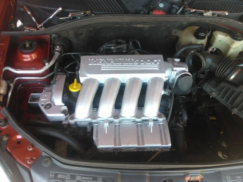 WP_000332.webp
