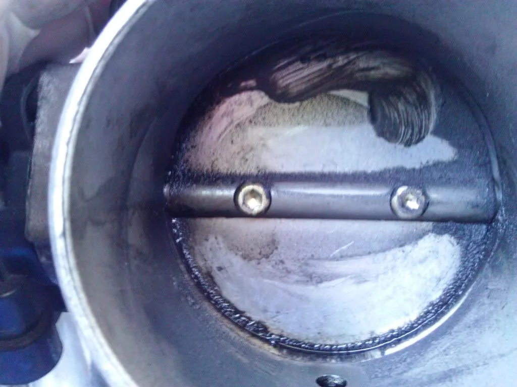 WP_000390.webp