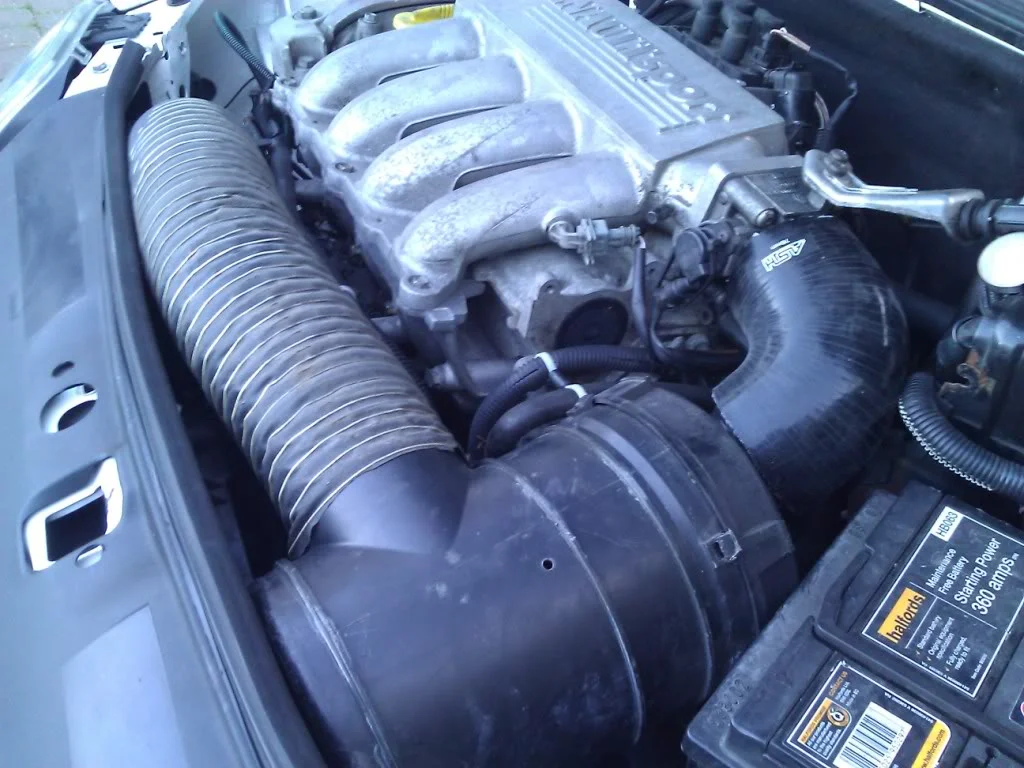 WP_000412.webp