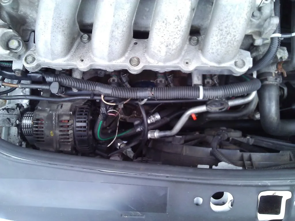 WP_000416.webp