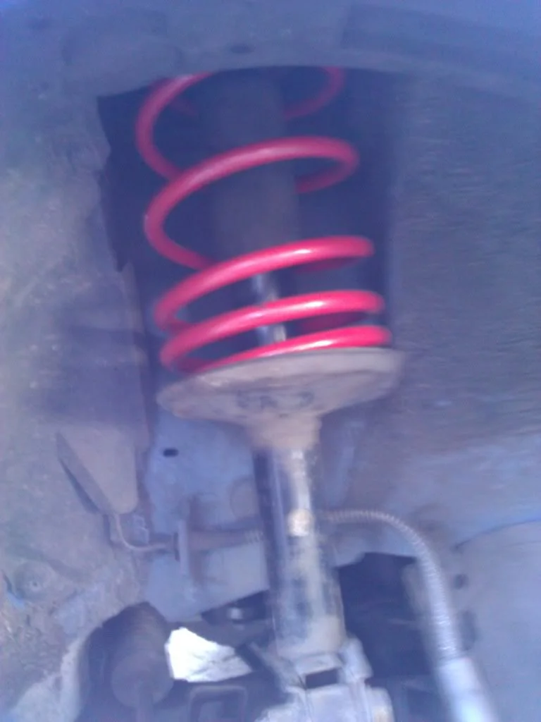 WP_000464.webp