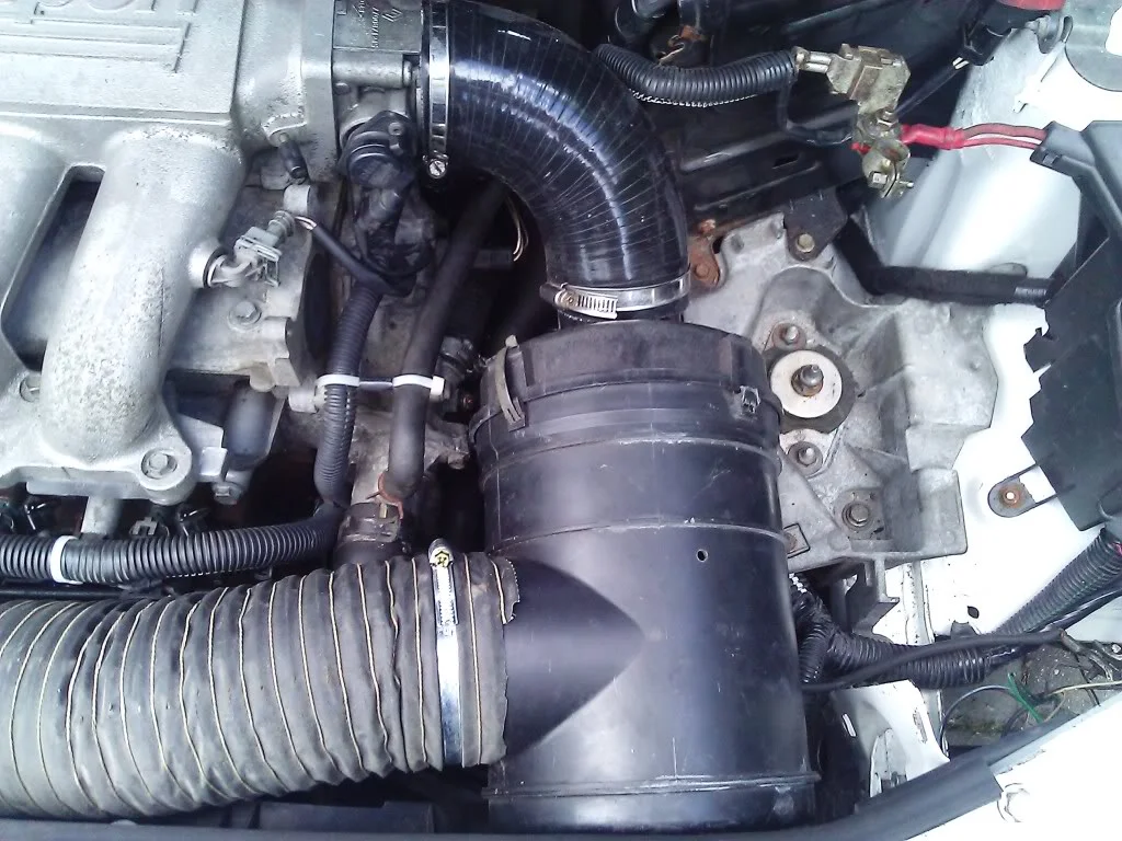 WP_000488.webp