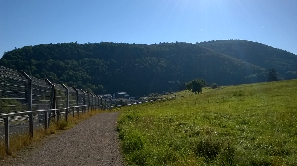 WP_20160826_08_35_23_Pro1_zpsztnwih99.jpg