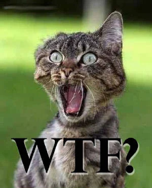 wtf.webp
