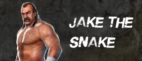 wwe-all-stars-roster-20110215033311764.webp