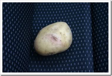 y1pTZJCRjwlbd4VTiG9u0Ph63EGDmZPbHN_.jpg y1pTZJCRjwlbd4VTiG9u0Ph63EGDmZPbHN_.jpg