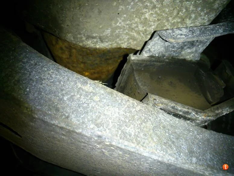 y4yzezav.webp