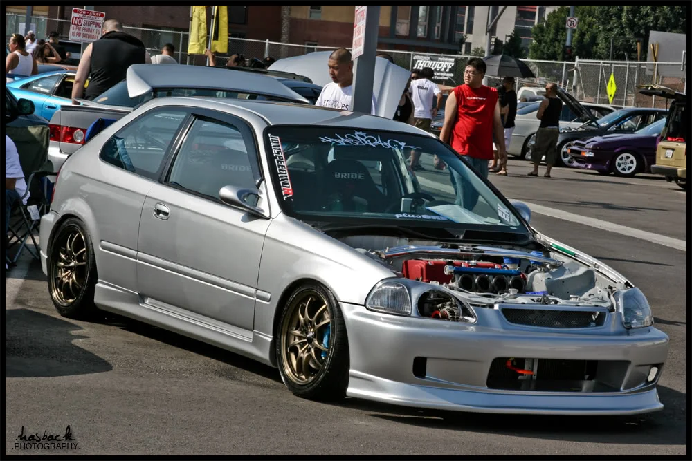 yeenisei1.webp