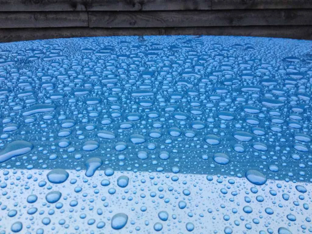 ytady3yz.webp
