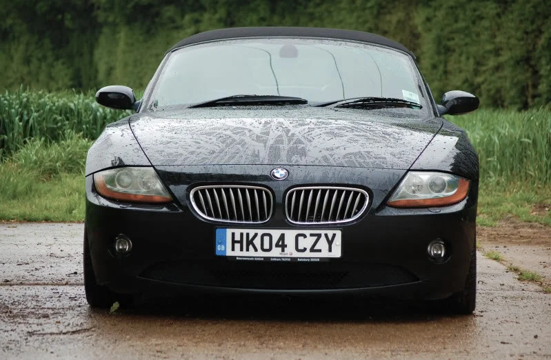 z44.webp