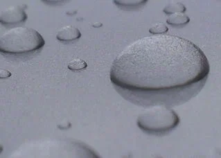 z6.webp