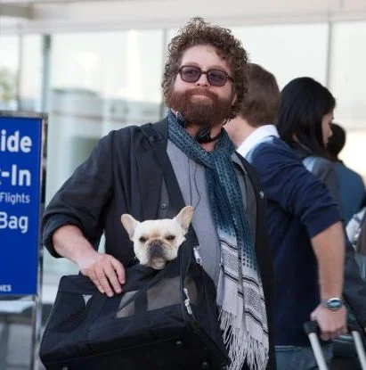 zach-galifianakis-in-due-date3.webp