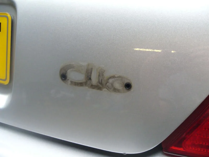 ZainoClio004.webp