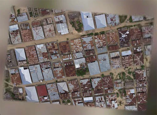 zanzibar-close-up.webp